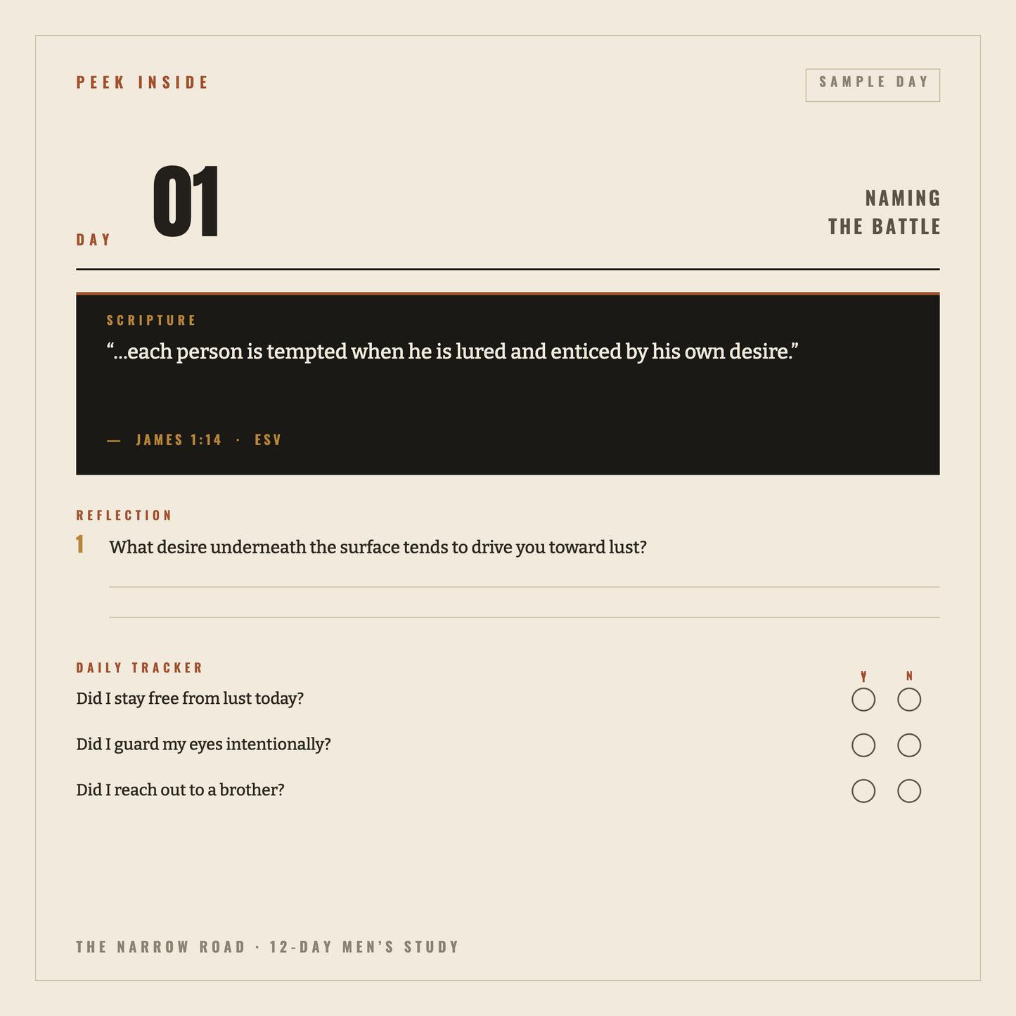 The Narrow Road — A Men's Bible Study on Temptation and Lust