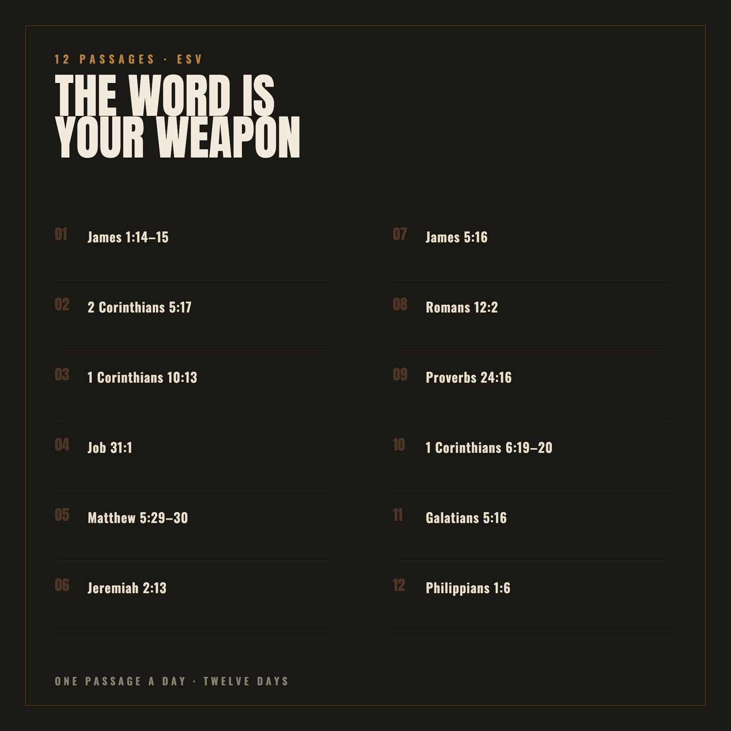 The Narrow Road — A Men's Bible Study on Temptation and Lust