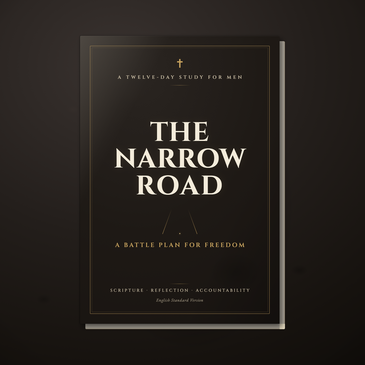 The Narrow Road — A Men's Bible Study on Temptation and Lust